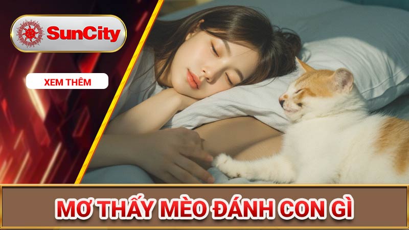 Mơ thấy mèo đánh con gì? Giải mã điềm báo khi mơ thấy mèo 5 Mơ thấy mèo đánh con gì