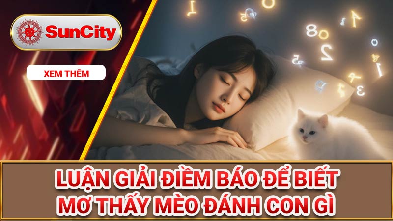 Mơ thấy mèo đánh con gì? Giải mã điềm báo khi mơ thấy mèo 6 Luận giải điềm báo mơ thấy mèo đánh con gì