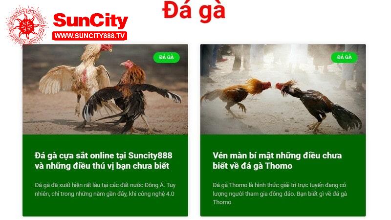 Nhận thưởng khổng lồ cùng Khuyến mãi Suncity