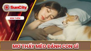 Mơ thấy mèo đánh con gì